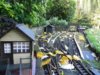 Leaves on the Line.jpg