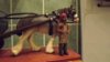 DSCF7349-(2).jpg