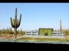 FF arizona.jpg