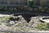dog hole 002 (Medium).jpg