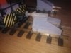 WP_000417.jpg