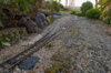 new_siding-2.jpg new_siding-2.jpg