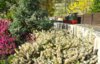 Spring on the SVR.jpg