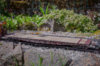 flatcar shots (final)(800)-2.jpg