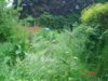 DSC00779-1.jpg