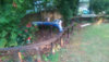 IMAG0131_800.jpg