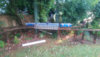 IMAG0133_800.jpg