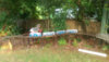 IMAG0135_800.jpg