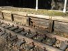 rotten wood.jpg