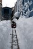 snow24 (Medium).jpg