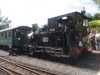 17-P9050318.JPG
