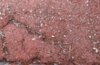 cracked soil s.jpg