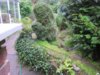 1-IMG_0347.JPG
