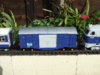 DSCF7193.JPG