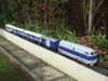 DSCF7192.JPG