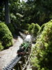 DSCF4255.JPG