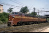 PRR Shark.jpg