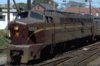 PRR shark 2.jpg