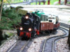 994633-loco-web.jpg