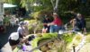 DSCF4351.JPG