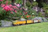 DSC_0097.JPG DSC_0097.JPG