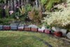 DSC_0105.JPG DSC_0105.JPG