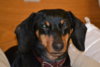 DSC_0060.JPG