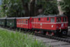 Garden_-18.jpg
