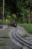 Garden_-22.jpg