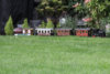 Garden_-30.jpg