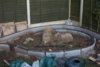 Garden_-27.jpg