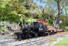 DSC_0311 - Copy.JPG