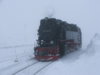 DSCF2913.JPG