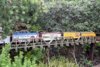 DSC_0328 - Copy.JPG