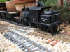DSCF2413.JPG