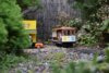 DSC_0359 - Copy.JPG