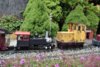 DSC_0408 - Copy.JPG