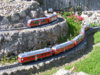 Allegra&Bernina-01.jpg