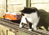 DSC00063.JPG