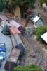beaver yard damage 2.jpg beaver yard damage 2.jpg