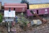 beaver yard damage 4.jpg beaver yard damage 4.jpg