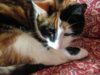 Mae (2).JPG