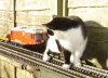 DSC00063.JPG