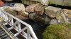 DSCPDC_0001_BURST20170716182817413.JPG