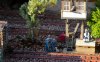 late sun beaver creek yard discussion.jpg late sun beaver creek yard discussion.jpg