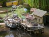 late sun harbour.jpg