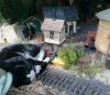 late sun cat finds the spot.jpg