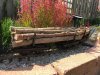 2017-08-26 12.29.21.jpg