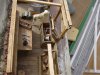 DSC05688a.jpg