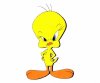 Tweety.jpg